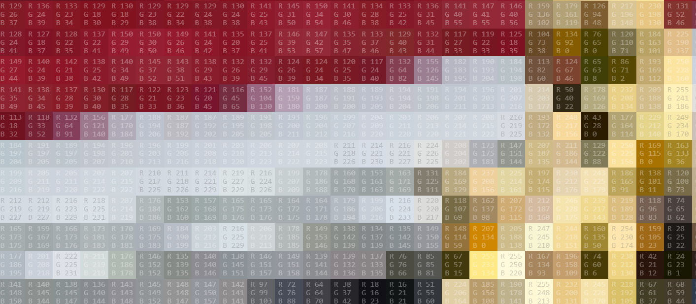 An image broken down into pixels